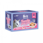 Brit Premium Fillets in Jelly Family Plate konservtoidu komplekt kassidele, 12 x 85 g