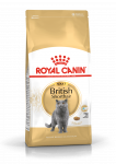 Royal Canin British Shorthair Adult kuivtoit kassidele, 10 kg