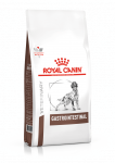 Royal Canin Veterinary Gastrointestinal kuivtoit koertele, 2 kg