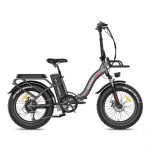 FAFREES F20 MAX 22.5Ah Elektrijalgratas