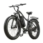 Burchda RX02 elektrijalgratas 1000W
