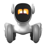 Loona Premium interaktiivne robot