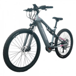 RANDRIDE YG90A elektrijalgratas 1000W mootor 45km/h