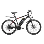 Elektrijalgratas SINOHON EM200D 36V 10.4AH mootor 500W