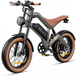 DYU M20 elektrijalgratas 750W
