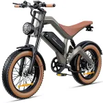 DYU M20 elektrijalgratas 750W