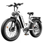 FENGQS H2 Pro Elektrijalgratas 2*1000W mootor, 52 V20Ah