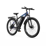 DUOTTS C29L elektrijalgratas 2x akud