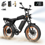AtlasTrek X5 elektrijalgratas 48V 15Ah 250W