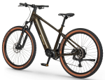 Meeste elektriline maastikujalgratas Ecobike SX300 Green V2 900Wh 29"