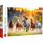 Puzzle - 1500 - Wild Horses Trefl 26215