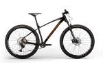 Jalgratas Corratec X-Vert Pro Team 29"