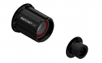 Tagarummu k&auml;risti DT Swiss Ratchet LN Shimano MTB