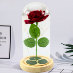 Eternal Rose In Glass Dome LED Lighting Red 21x11cm
