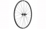 Tagaratas 29" DT Swiss XR1700 Spline
