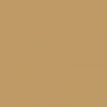 Baby stroller CARRELLO Evo CRL-5533 Medallion Beige
