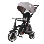 Laste kolmerattaline jalgratas Qplay Rito+ Grey