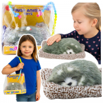 Sleeping Husky Dog on a Pillow Figurine with Fur Bag Sounds