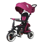 Laste kolmerattaline jalgratas Qplay Rito+ Purple