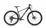 Jalgratas CTM Rambler 4.0 29"