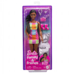 Barbie Life in the city Brooklyn JBF42