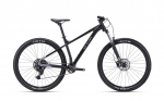 Jalgratas CTM Zephyr Comp 29"