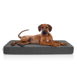 Ortopeediline madrats koertele Carinio Otoman Charcoal XL