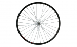 Esiratas 26" Shining CT-46 NUT