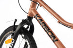 Laste jalgratas Karbon Superlight Alu 20", vask