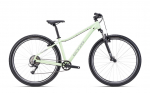Jalgratas CTM Charisma 1.0 29"