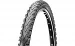Rattarehv CST 700 x 42C, C1313