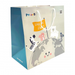 Viga PolarB Gift Bag