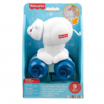 Fisher Price Crawl After Polar Bear JDL63