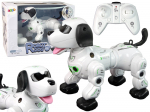 Interactive Remote Controlled Robot Doggy