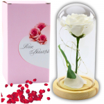 Eternal Rose In Glass Dome LED Lighting White 21x11cm