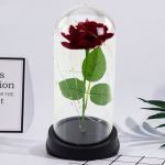 Eternal Rose in Dome with LED Lighting Red 21x11cm