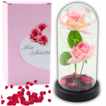Eternal Roses in Dome with LED Lighting and Rose Petals Pink 21x11cm