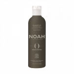 Origins Volumizing Shampoo For Fine Hair Vol&uuml;&uuml;mi andev &scaron;ampoon 250ml