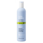 Milk_shake No Frizz Allowed Perfecting Shampoo Siluv &scaron;ampoon raskesti kammitavatele juustele 300ml