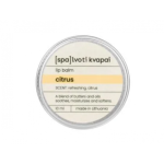 Spalvoti Kvapai Lip Balm Huulepalsam 10ml Citrus