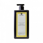 Repair Conditioner Juukseid taastav palsam 700ml