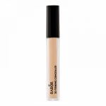 3D Firming Concealer Multifunktsionaalne maskeerija 4g