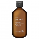 Wellness Energise Bath & Shower Gel Pesugeel 300ml
