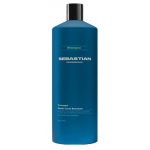 Sebastian Professional Twisted Elastic Curls Shampoo &Scaron;ampoon lokkis juustele 1000ml