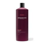 Sebastian Professional Penetraitt Shampoo &Scaron;ampoon kahjustatud juustele 1000ml