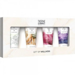 Gift Set Of Wellness Shower Satin Kehapesu komplekt 4x75ml