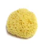 Hydrea London Honeycomb Sea Sponge Looduslik merek&auml;sn ~13 cm