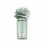 Cuoio e Fruitti Peony Diffuser Kodul&otilde;hn 100ml
