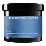 Sebastian Professional Hydre Intensely Hydrating Treatment Mask Intensiivselt niisutav juuksemask 500ml