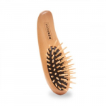 Beard Brush Habeme hari 1 tk.